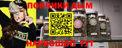spice Камышлов