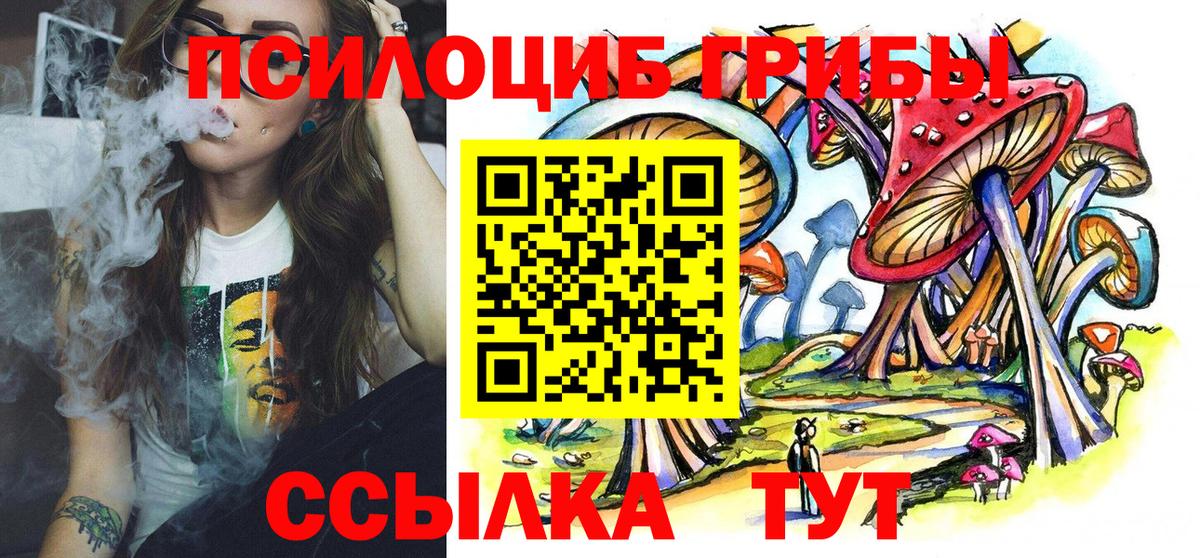 Котельники  Псилоцибиновые грибы Cubensis  Псилоцибиновые грибы Cubensis  Вход с VPN 